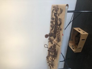 IMG_0839