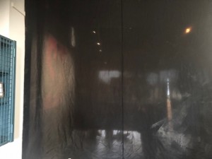 IMG_2087