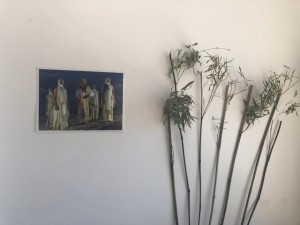 IMG_3175