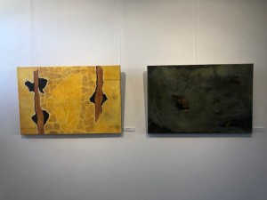 IMG_9447