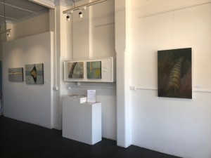 IMG_9455