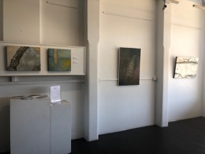 IMG_9456